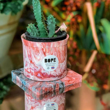 Plant Pot x 2pcs